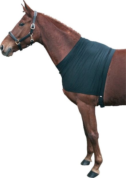 Pagony Lycra Borstbeschermer - Maat: M - Zwart - Lycra