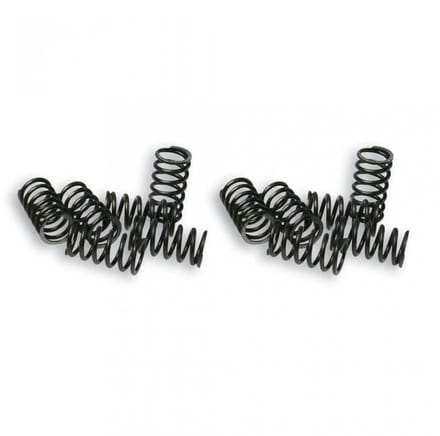 Ressort d embrayage Malossi pour Auto Piaggio 50 APE FL 2916649 Neuf