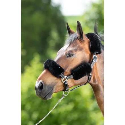 Halter schede HFI
