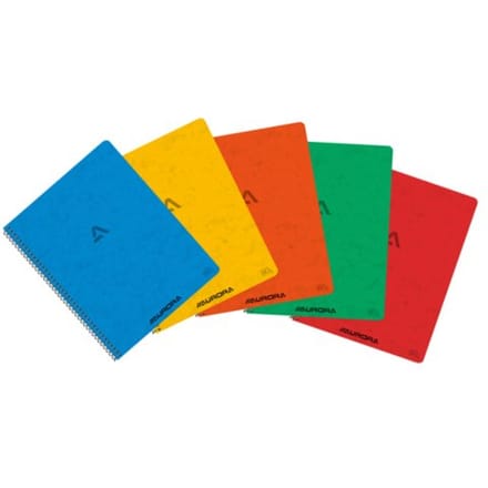 Schrift Aurora 210x165mm ruit 5x5mm 120 pagina's 80gr assorti