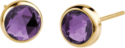 Bering - 722-2150-05 - Oorbellen - Dames - Arctic Symphony