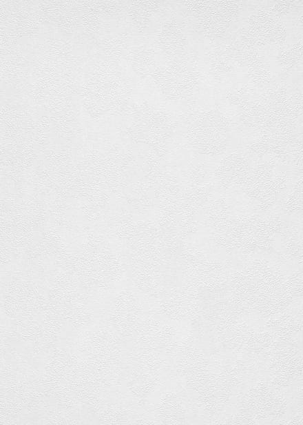 Erismann Vinylbehang 11035-01 - RollOver27 - Overschilderbaar Wit - 106cm x 25,00m