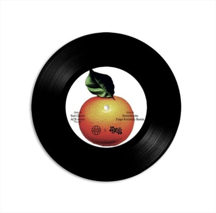 Ellen Beth Adbi - Sad Chord / Tenterhooks (Remixes) (7" Single)