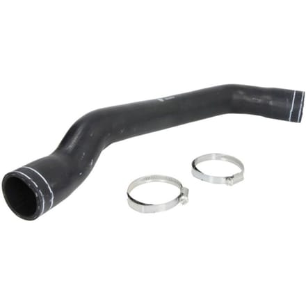 Radiatorslang FEBI BILSTEIN 101238