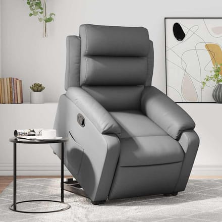 Vidaxl Sta-op Fauteuil, Grijs, Bekleed met Kunstleer