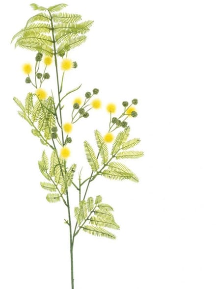 Erutan avon - Mimosa spray Alice yellow 91 cm