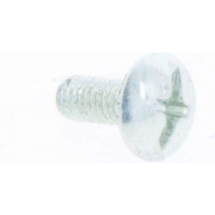 Screw