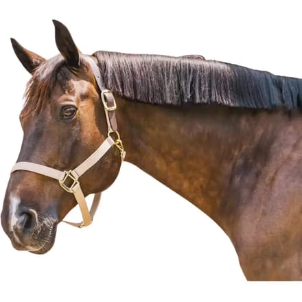 Kentucky Horsewear - Nylon halster Wellington beige cob