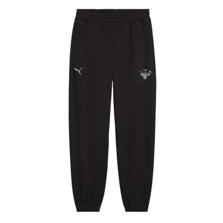 Puma Joggingbroeken voor heren (Performance) (Zwart/Zilver)