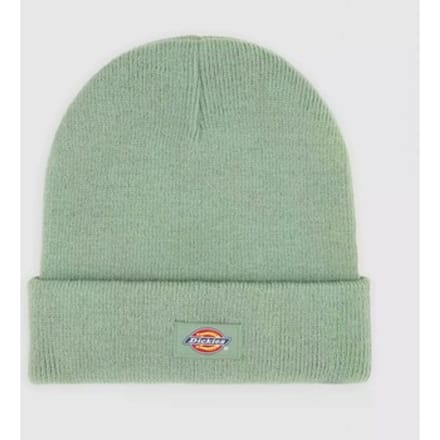 DICKIES GIBSLAND Groen N/A EU