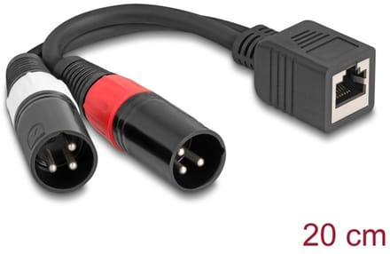 Delock Adapter Cable RJ45 jack to 2 x XLR 3 pin plug black 20 cm