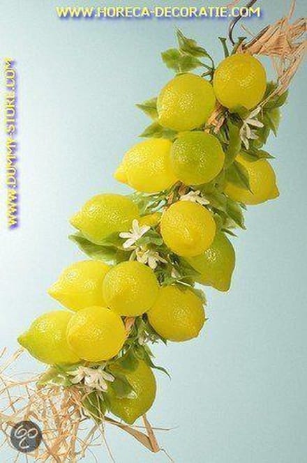 Citroenen, grote streng, 20 stuks (decoratie)