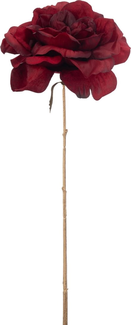 J-Line bloem Roos 1 Stengel - kunststof - rood/goud - large - 24 stuks