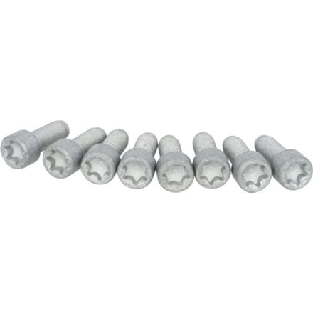 Schroevenset vliegwiel SACHS 1874 000 031