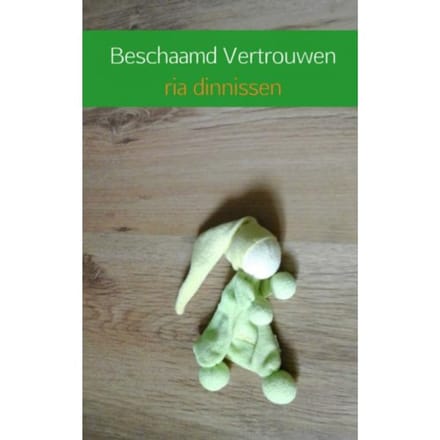 Beschaamd Vertrouwen - Ria Dinnissen