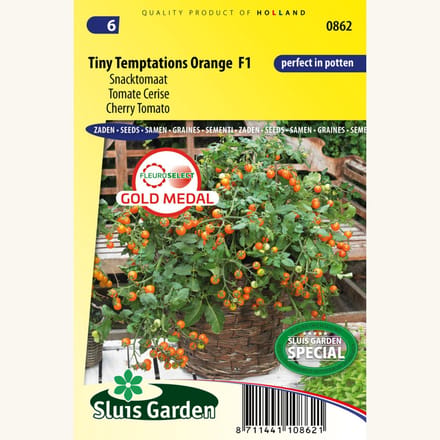 Tomaat Tiny Temptations Orange F1 - Lycopersicon lycopersicum - Moestuin - bloeit in Oktober / Juli / Augustus / September