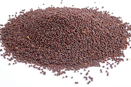 Tuana Kruiden - Mosterdzaad Bruin Heel - Bakje 80 Gram - Tuanashop - KP0182