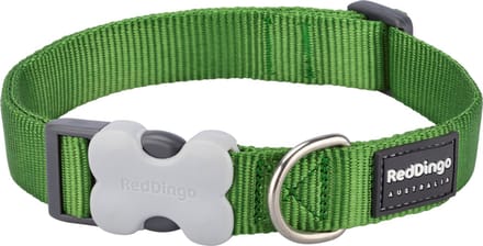 Red Dingo Halsband Hond 12mm x 20-32cm DC-ZZ-GR-12