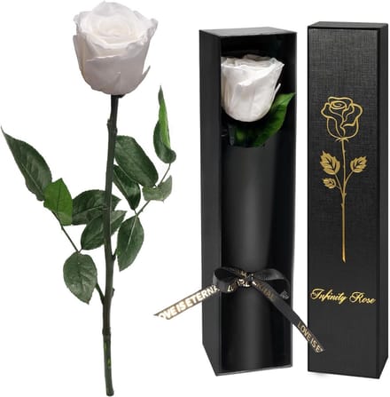 Echte Eeuwige Roos - Perfect Cadeau voor Dames, Moeder, en Speciale Gelegenheden