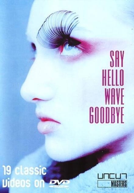 Say Hello Wave Goodbye
