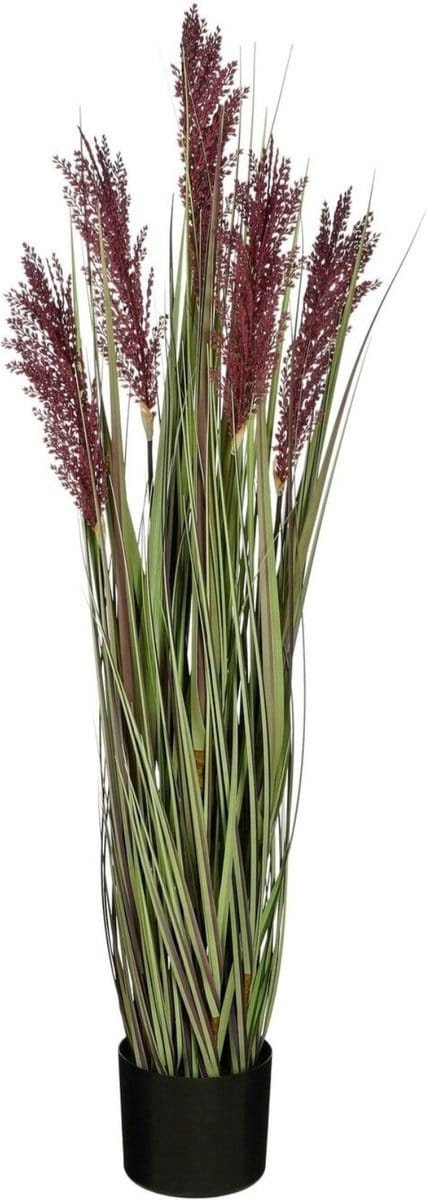 Mica Decorations Kunstplant Tarwe - 30x30x115 cm - PVC - Paars