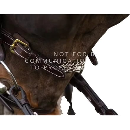Eenvoudige kettinghalster voor paard Dy'on 5/8"