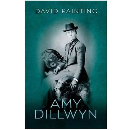 Amy Dillwyn - David Painting