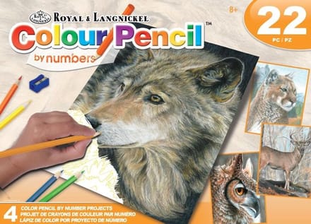 AVS-CPN208 Colour Pencil By Numbers Activity Set - 4 Projects WILD LIFE BOX SET