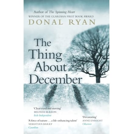 The Thing About December - Donal Ryan