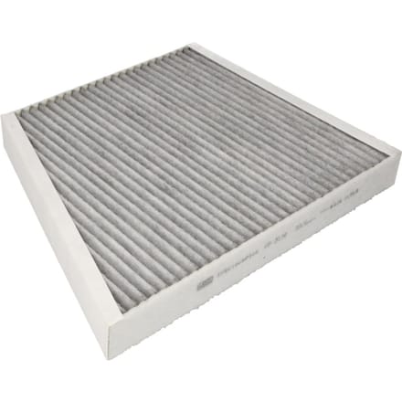 Cabinefilter MANN-FILTER FP 3172