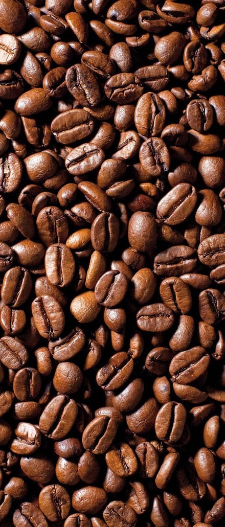 Fotobehang Coffee Beans  | DEUR - 211cm x 90cm | 130g/m2 Vlies