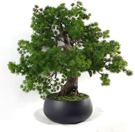 Leaf LEAF-7518 50cm Kunstmatige Pine Bonsai Boom