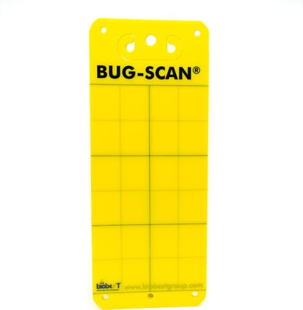 Vangplaten Geel 10x25 cm - gele vangplaat tegen insecten