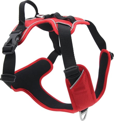 Jack And Vanilla - Tuigjes - Expedition Tuigje - Rood - Xl Expha4050 - 174856