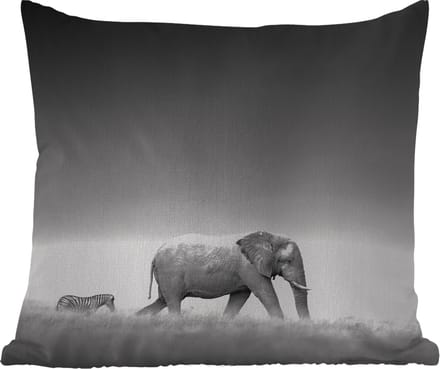 Tuinkussen - Olifant - Dieren - Landschap - Zwart wit - zebra - 40x40 cm - Weerbestendig