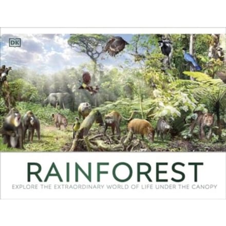 Rainforest - DK