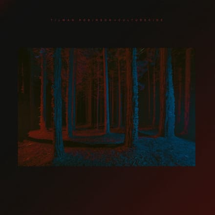 Tilman Robinson - Culturecide (LP)