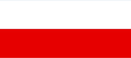 Vlag Mannheim 100x150cm