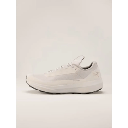 Arc'teryx Norvan LD 4 GTX Trailrunning Heren (Maat - 9,5, Kleur - Rune/Rune)