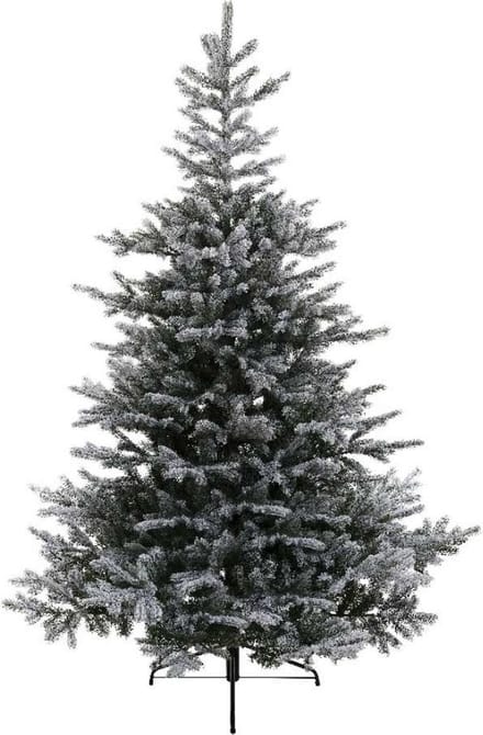 Grandis fir d162h240cm groen/wit