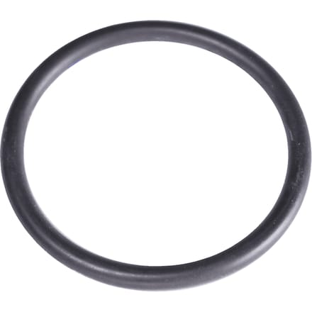 O-ring 1"