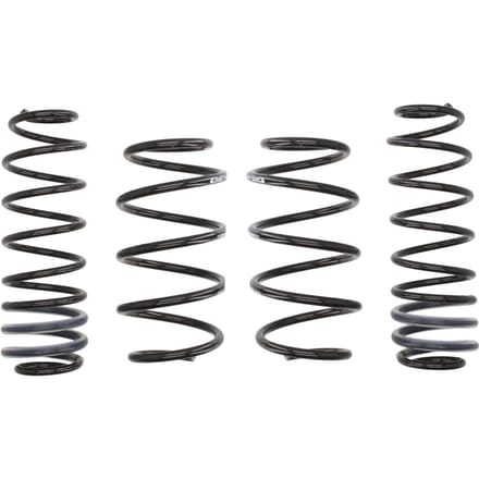 Verlagingsveer Pro Kit EIBACH E10-35-010-02-22