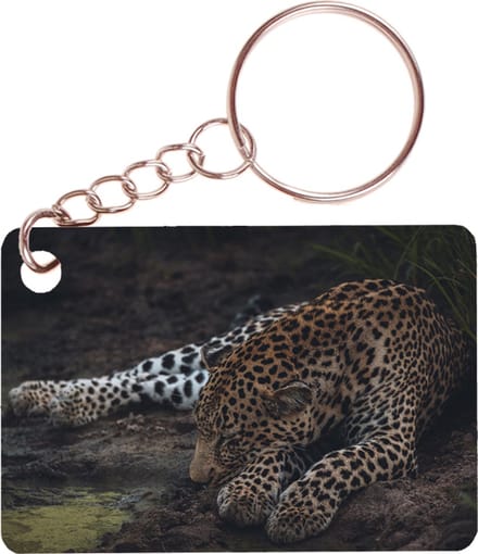 Sleutelhanger 6x4cm - Luipaard Liggend