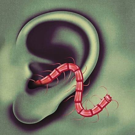 Thee Oh Sees - An Odd Entrances (CD)