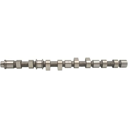 Nokkenas  AMC 647269