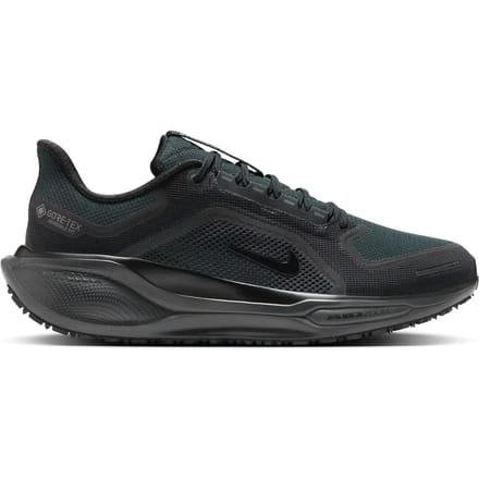 Hardloopschoenen Nike Pegasus 41 Gore-Tex