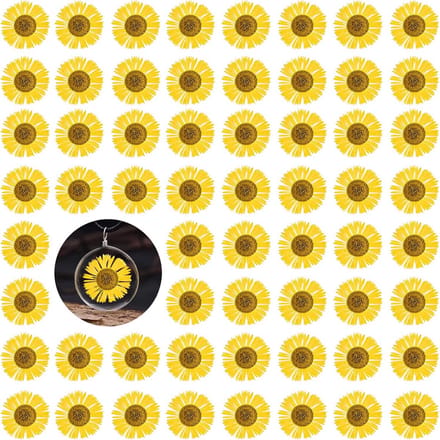 Gedroogde Chrysanten - Echte Bloemen - Hars Ambachten - Natuurlijk Geperst - 60 Stuks - Geel