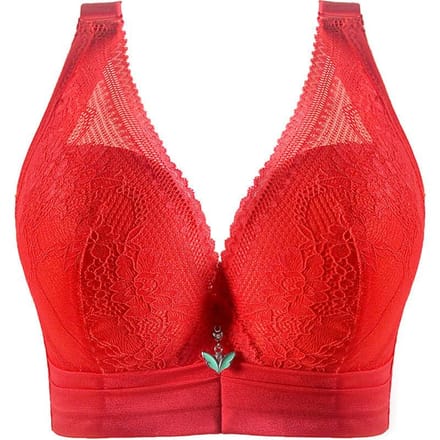 Dikke dames plus size ondergoed volledige cup dunne sectie push-up bh topondersteuning verstelbare grote cup bh 38/85C red