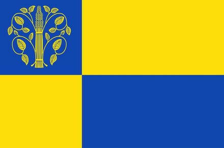 Vlag Westerwolde 150x225cm