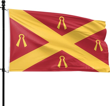 VlagDirect - Wijchen vlag - Gemeente Wijchen vlag - 90 x 150 cm.